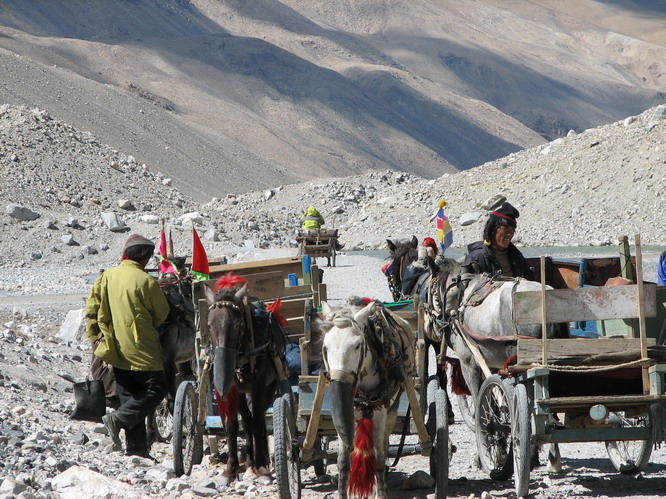 Horse carts for carrying tourist to Everest Base Camp, Tibet.